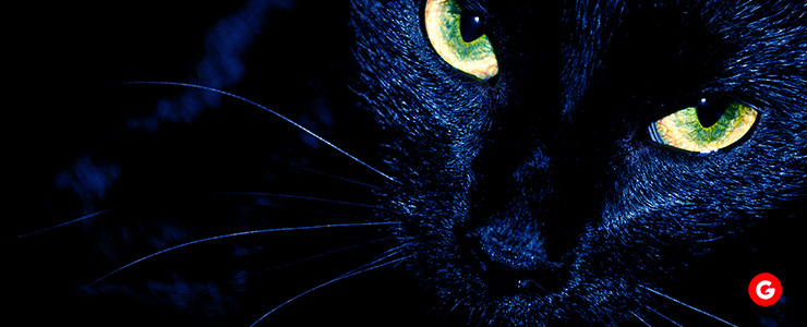 Superstition Trading: A Black Cat Symbolizing Luck and Intrigue in Financial Ventures